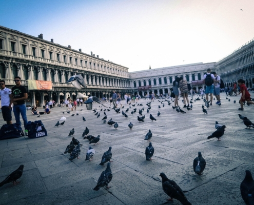 Piazza San Marco